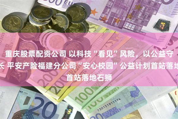 重庆股票配资公司 以科技“看见”风险，以公益守护成长 平安产险福建分公司“安心校园”公益计划首站落地石狮