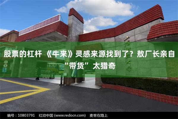 股票的杠杆 《牛来》灵感来源找到了？敖厂长亲自“带货” 太猎奇