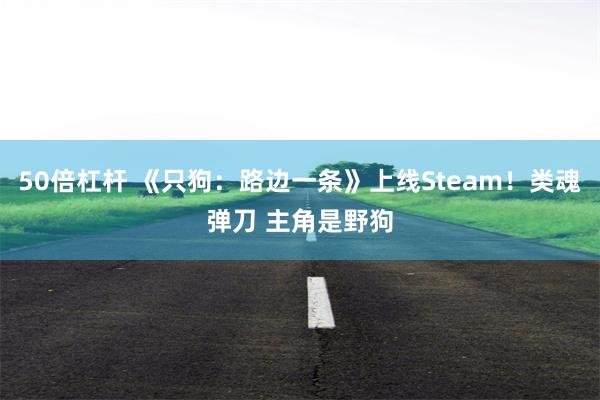 50倍杠杆 《只狗:路边一条》上线Steam!类魂弹刀 主角是野狗