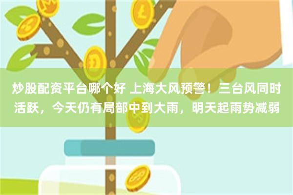炒股配资平台哪个好 上海大风预警！三台风同时活跃，今天仍有局部中到大雨，明天起雨势减弱