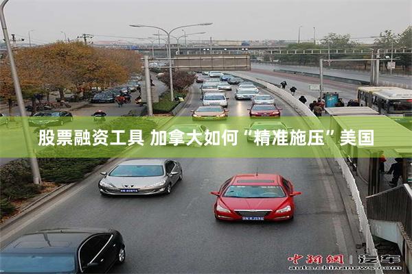 股票融资工具 加拿大如何“精准施压”美国