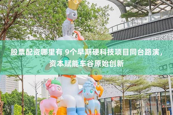 股票配资哪里有 9个早期硬科技项目同台路演，资本赋能车谷原始创新