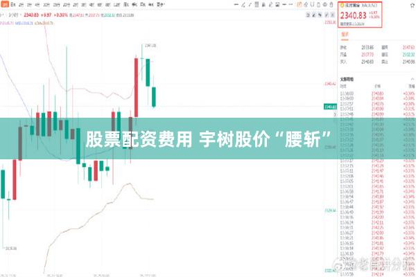 股票配资费用 宇树股价“腰斩”