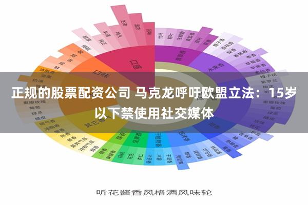 正规的股票配资公司 马克龙呼吁欧盟立法：15岁以下禁使用社交媒体