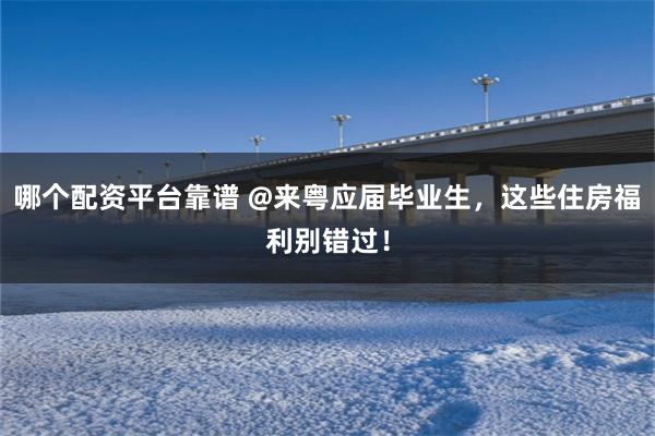 哪个配资平台靠谱 @来粤应届毕业生，这些住房福利别错过！
