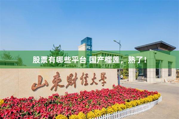 股票有哪些平台 国产榴莲，熟了！