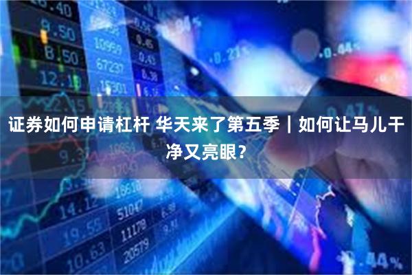 证券如何申请杠杆 华天来了第五季｜如何让马儿干净又亮眼？