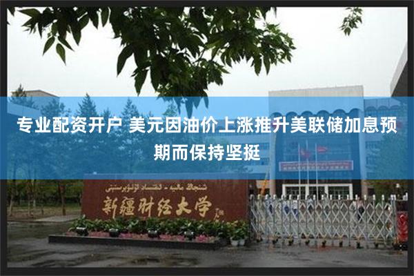 专业配资开户 美元因油价上涨推升美联储加息预期而保持坚挺