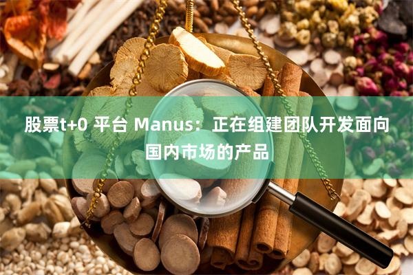 股票t+0 平台 Manus：正在组建团队开发面向国内市场的产品